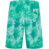 imageELETOP Mens Swim Trunks Quick Dry Bathing Suit Swimming Board Shorts Mesh Lining Beach Swimwear447 Oil Painting Green
